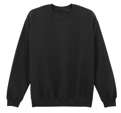 Little Ray of Pitch Black Embroidered Sweatshirt