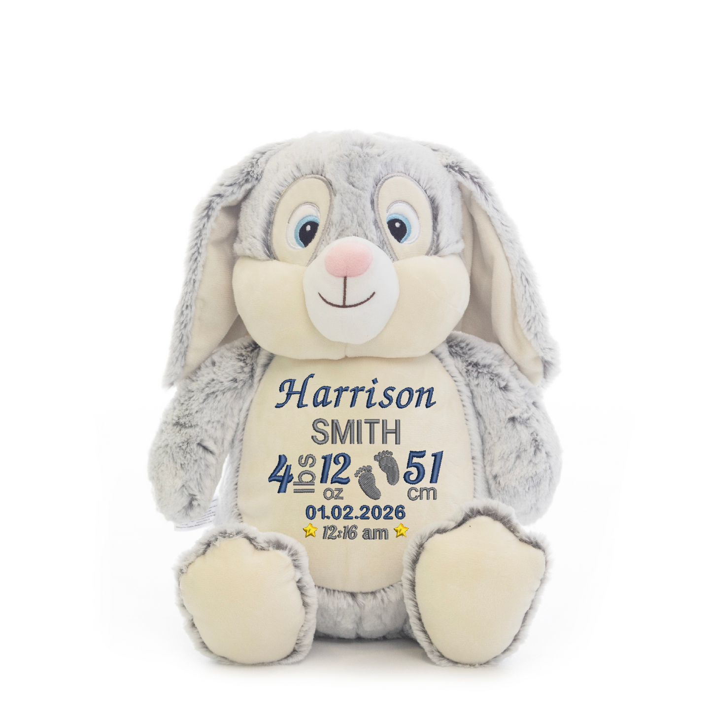 Baby Giraffe Embroidered Birth Info lbs/cm Teddy