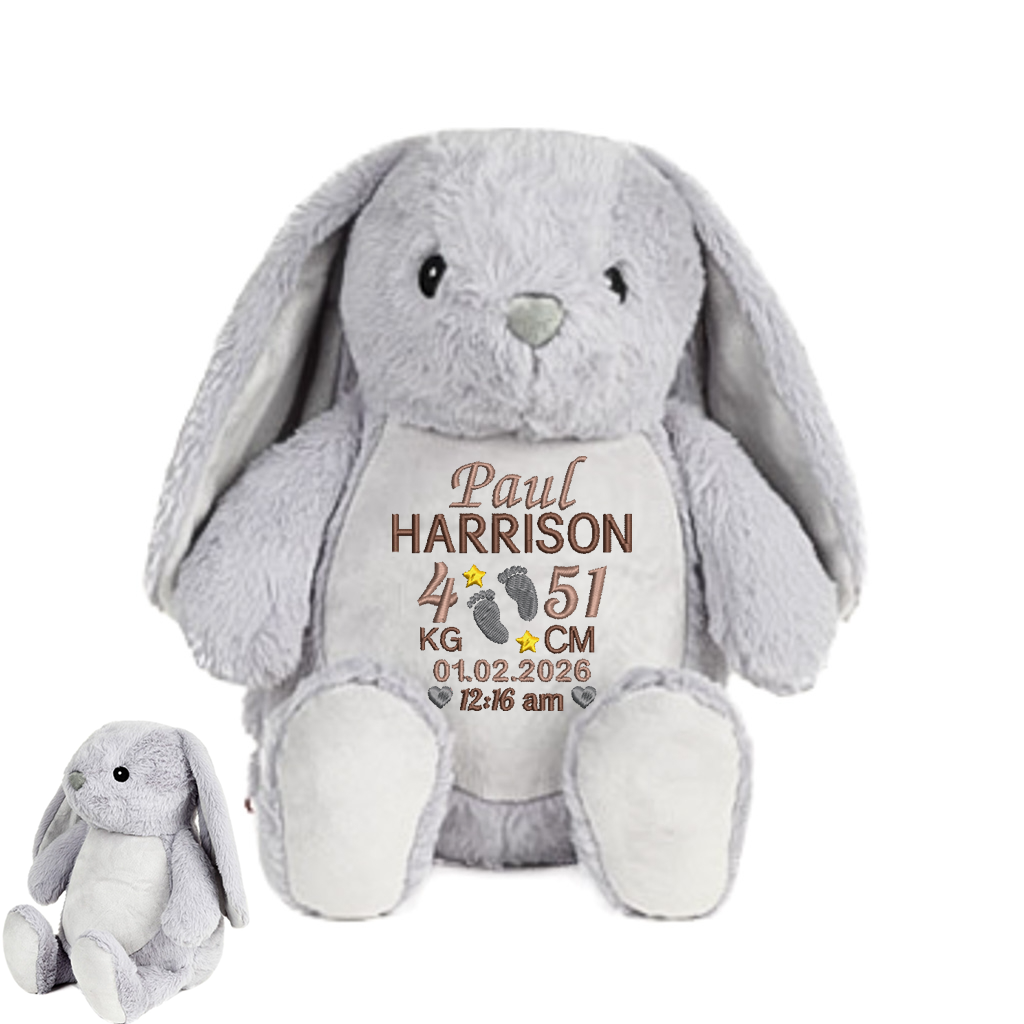 Personalised Baby Giraffe Embroidered Birth Info kg/cm Teddy