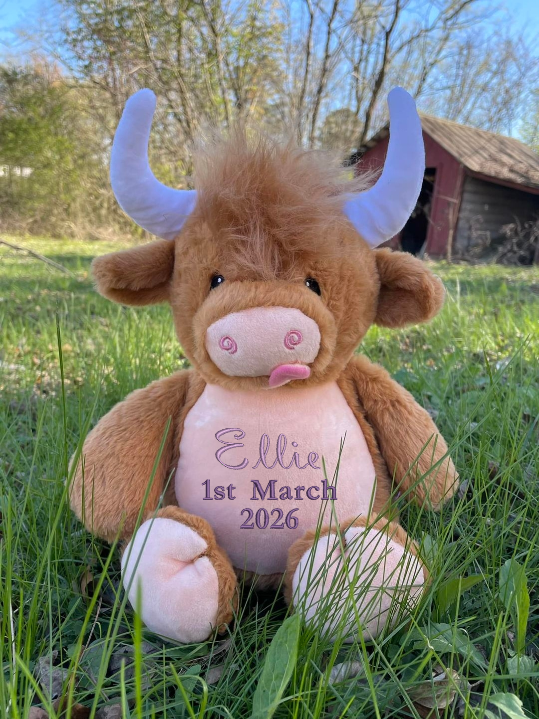 Highland Cow Embroidered Name & D.O.B Teddy