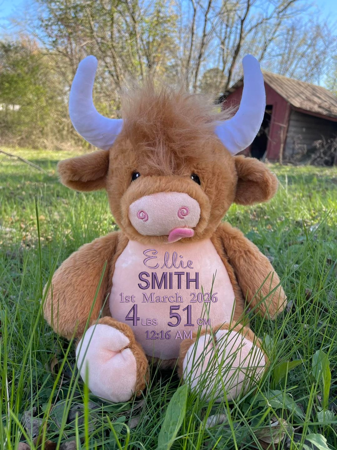 Highland Cow Embroidered Name & Birth Info Teddy