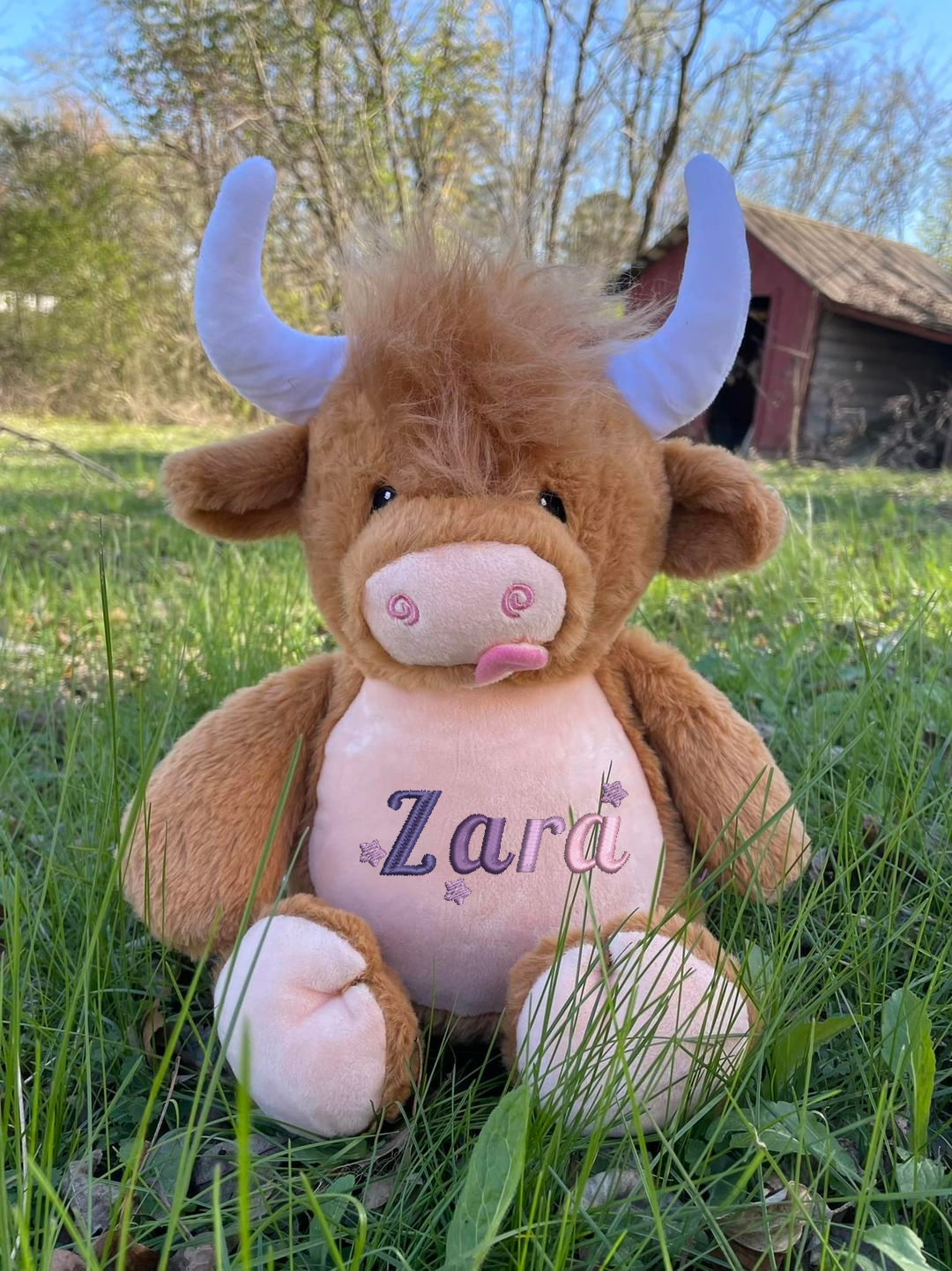 Highland Cow Embroidered Name with Stars Teddy
