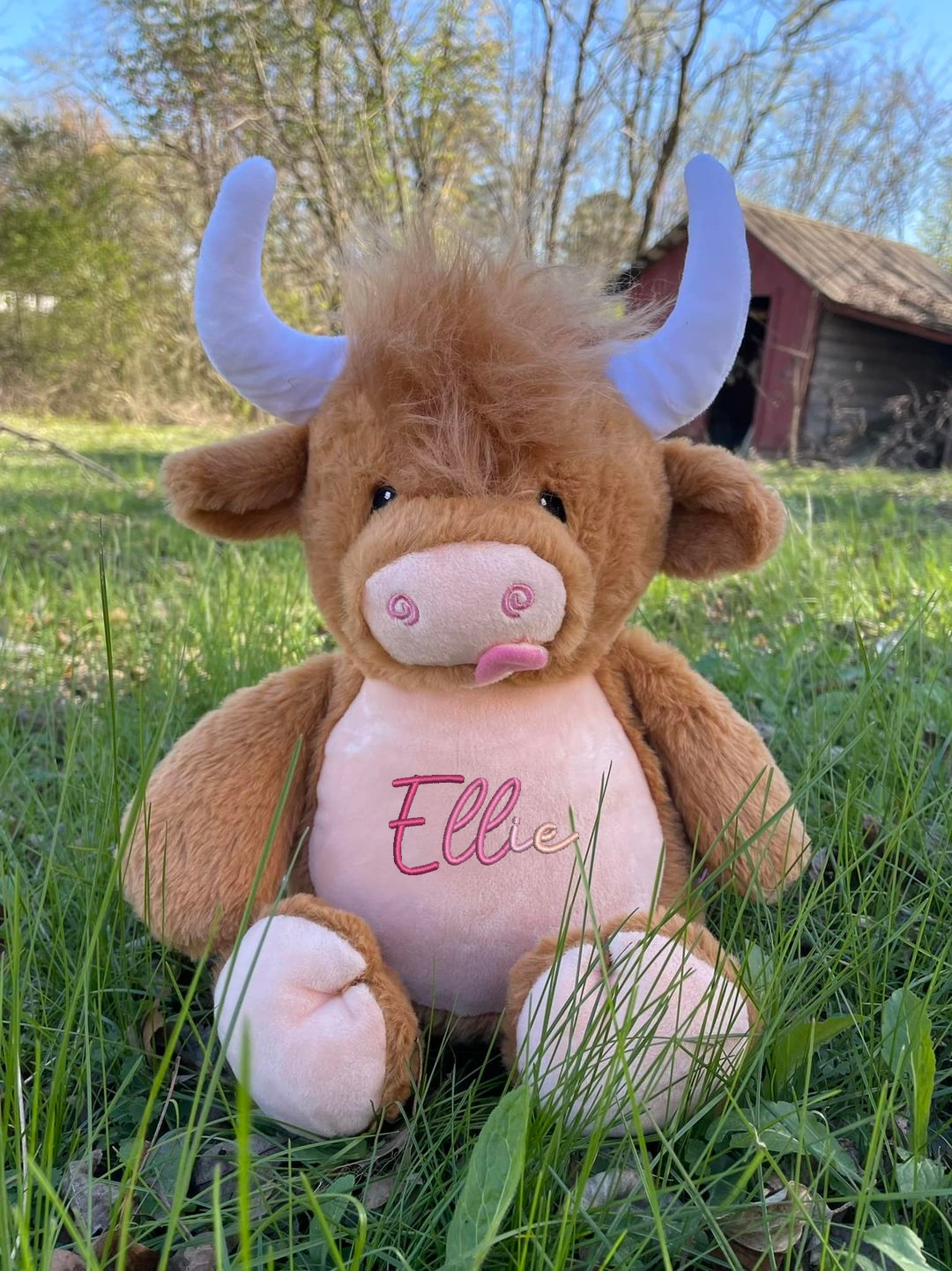 Highland Cow Embroidered Name Gradient Teddy