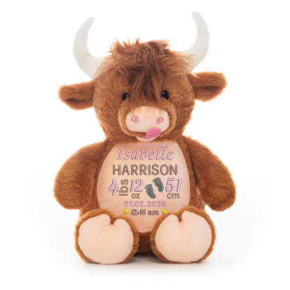 Baby Giraffe Embroidered Birth Info lbs/cm Teddy