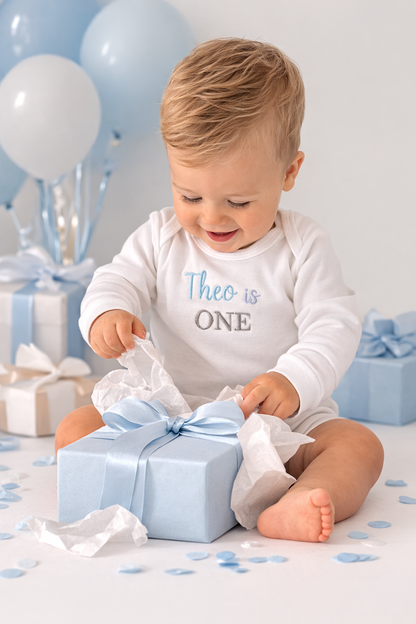 Boys 1st Birthday Long Sleeve Bodysuit