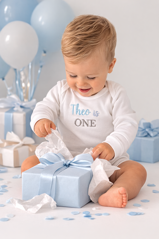 Boys 1st Birthday Long Sleeve Bodysuit