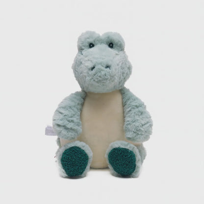 Alligator Embroidered Birth Info kg/cm Teddy